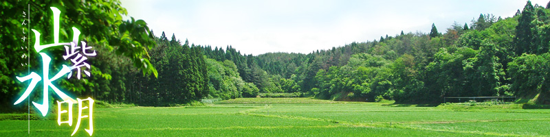 豊かな大自然に育まれ旨味が凝縮された秋田県能代地区産あきたこまち「白神こまち」です。